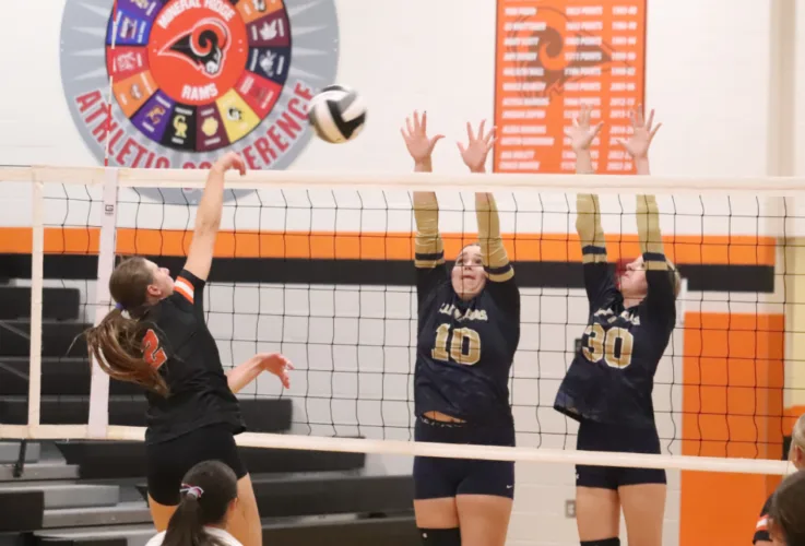 Warriors lose in four sets to Tigers